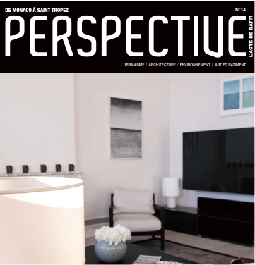 Perspective-N14 2011